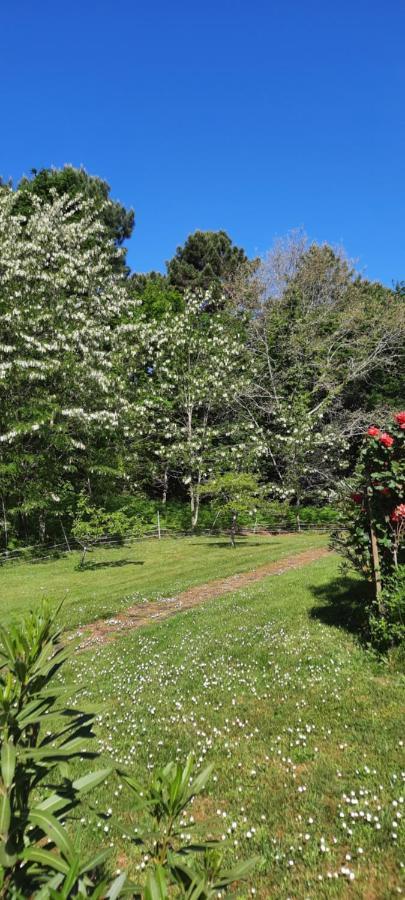 Chambres "Blanches" , Batiment Secondaire Hotel La Caravelle, Vue Jardin Biscarrosse-Plage Bagian luar foto